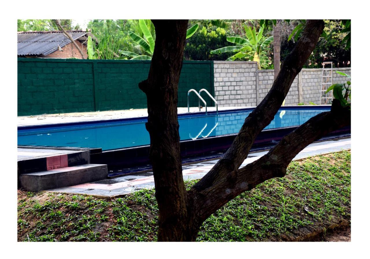 Sun And Green Eco Lodge - Dambulla Exterior photo