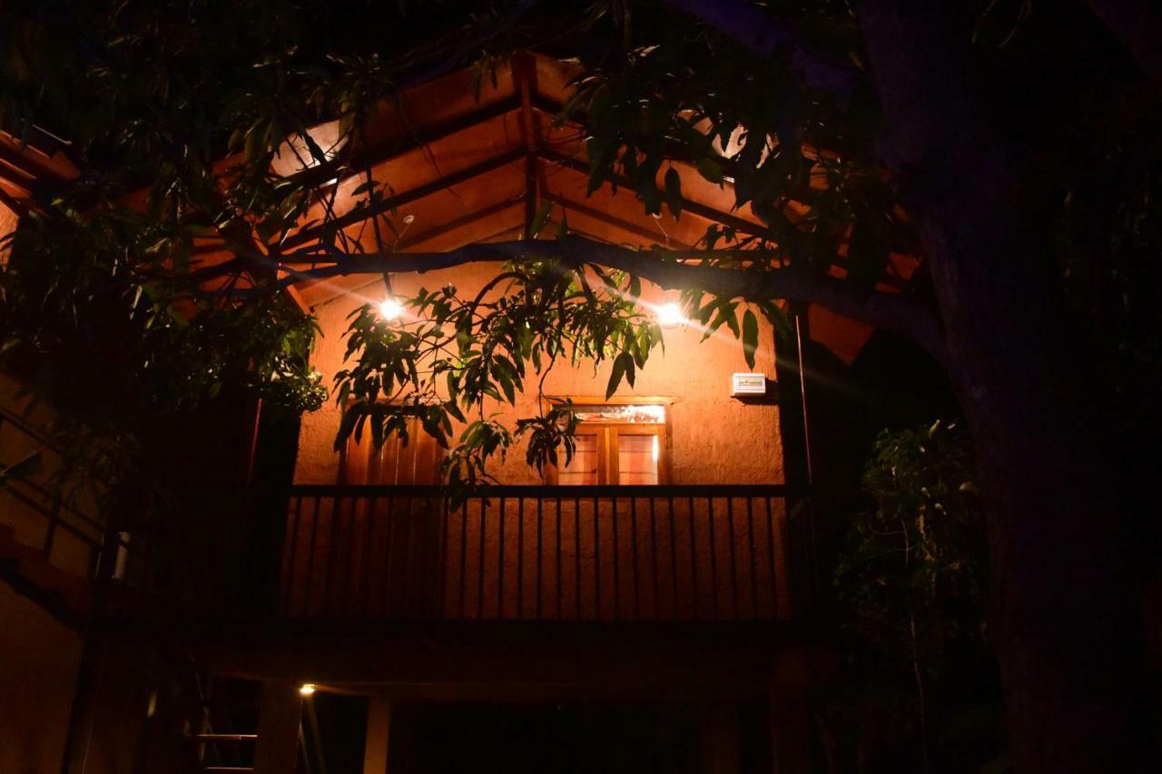 Sun And Green Eco Lodge - Dambulla Exterior photo